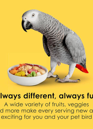 Kaytee Fiesta Parrot Food, Nutritious and Fun Blend, Supports Skin, Feather, Digestion, Brain and Heart Health, 4.5 pounds