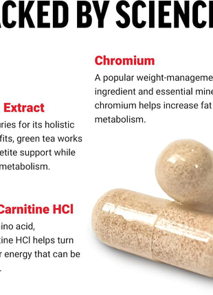 Force Factor Women's Fat Burner, Metabolism Booster, and Weight-Loss Supplement Support, Green Tea Fat Burner Weight-Loss Pills to Help with Energy, Diet, and Exercise, Vegan, Non-GMO, 60 Capsules