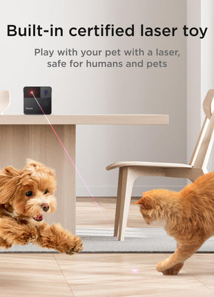 Petcube All Devices Pack: Cam, Cam 360, Bites 2 Lite, Play 2, GPS Tracker (All in one App)