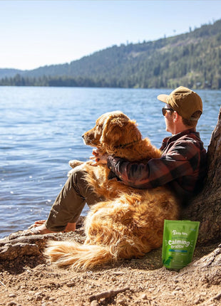 Zesty Paws OraStix for Dogs - Calming Dental Sticks for Stress with Hemp Melatonin Chamomile Dog Healthy Teeth and Gums Calm Composure for Fireworks and Thunderstorms - 25oz (Pack of 2)