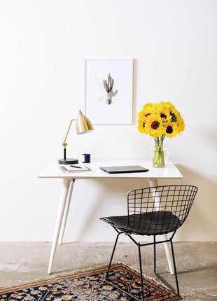 Benchmark Bouquets - Sunflower Bouquet - Fresh Flowers for Delivery - Real Flowers in a Vase - Floral Arrangements Gift Set - Birthday Flowers for Women - Glass Vase Included (10 Stems)
