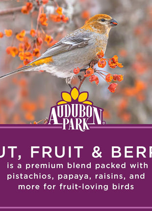 Audubon Park Nut & Fruit Wild Bird Seed – 15 lb. Premium Blend with Sunflower Seeds, Peanuts, Safflower & Dried Fruit – Bird Food for Outside Feeders