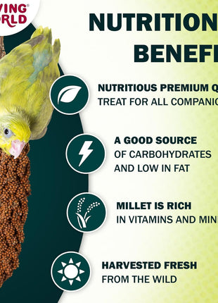 Living World - Millet Spray for Birds, 3.5 Oz 芒聙聯 Premium Treat for Budgies, Canaries, Finches, Cockatiels and Other Pet Birds