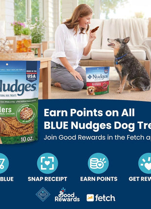 Blue Buffalo Nudges Grillers Natural Dog Treats, Made in the USA with Real Steak, 16-oz Bag