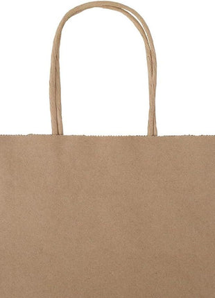 bagmad 100 Pack 8x4.75x10 Inch Plain Medium Paper Bags with Handles Bulk, Brown Kraft Craft Gift Bags, Grocery Shopping Retail Birthday Party Favors Wedding Sacks (Natural Brown, 100pcs)