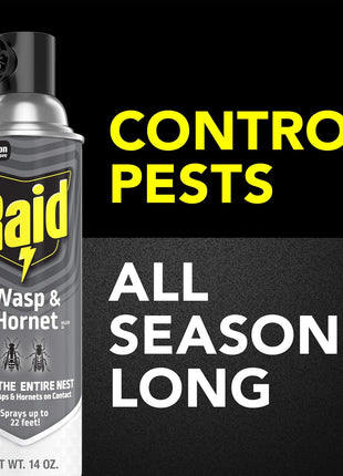 Raid Wasp & Hornet Killer Spray, Bug Killer Kills the Entire Nest, 14 Oz, 2 Count