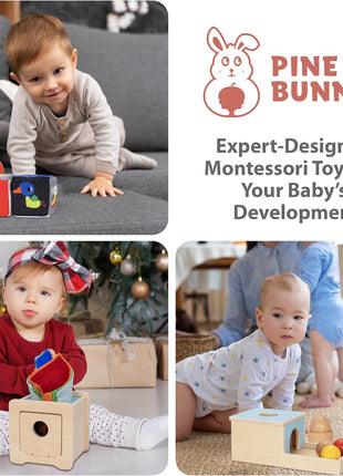 Pine Bunny Montessori Wooden 10-in-1 Toy Set for 7+ Months, Object Permanence Box, Egg and Cup, Tissue Box, Fabric Blocks, Scarf, Educational Learning Sensory Development Fine Motor Skills Baby Toys