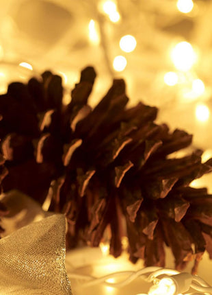 HISHINY Christmas Lights 100 Count Mini Clear Lights 21ft White Wire Christmas Tree String Lights Set for Outdoor Indoor Christmas Decorations Wedding Valentines Day Decor,UL Certified (21feet)
