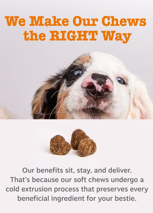 Zesty Paws Probiotics for Dogs, Digestive Enzymes Gut Flora, Digestive Health, Diarrhea & Bowel Support, DE111, Dog Probiotic Soft Chew for Pet Immune System, Pumpkin, 250 Ct (Pack of 2)