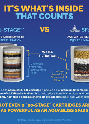 Aquabliss High Output Revitalizing Shower Filter - Reduces Dry Itchy Skin, Dandruff, Eczema, and Dramatically Improves The Condition of Your Skin, Hair and Nails - Chrome (SF100)