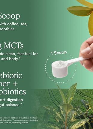 Garden of Life Dr. Formulated Keto Organic MCT Powder - 30 Servings, 6g MCTs from Coconuts Plus Prebiotic Fiber & Probiotics, Certified Organic, Non-GMO, Vegan, Gluten Free