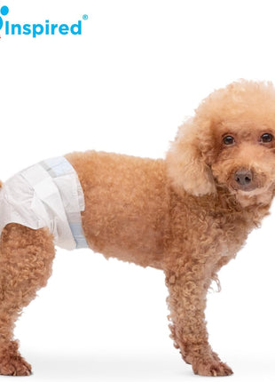 Paw Inspired 32ct Disposable Dog Diapers | Female Dog Diapers Ultra Protection | Diapers for Dogs in Heat, Excitable Urination, or Incontinence (Small)