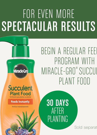 Miracle-Gro Succulent Potting Mix - Potting Soil Mix for Indoor Succulents, Aloe Vera and More, Made with Miracle-Gro Plant Food, 4 qt.