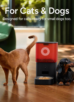 Automatic Cat Feeder with Camera: 6L Automatic Dog Feeder with 2-Way Audio Night Vision Dual Power Supply App Control 2.4G WiFi, Timed Auto Cat Food Dispenser with Stainless Steel Bowl (White)