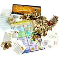 DANCING BEAR Fossil Collection Sorting Activity Kit with Over 100 Pcs (More Than 20 Different Fossil Varieties!), Educational ID Sheet, Color ID Cards, Bags, Magnifying Glass, and Shark Teeth