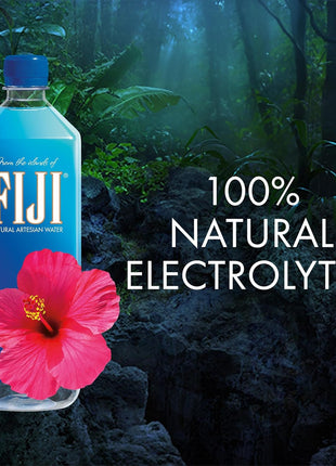FIJI Natural Artesian Bottled Water 1 Liter / 33.8 Fl Ounce (Pack of 12) - 100% Natural Electrolytes