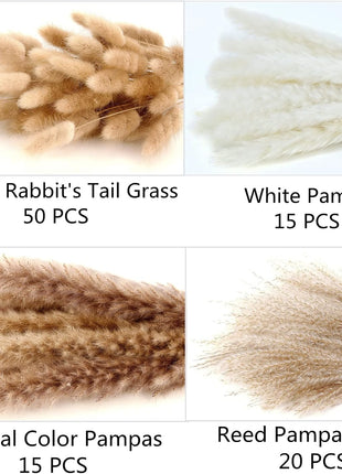 Dried Pampas Grass Decor, 100 Stems Pampas Grass Contains Bunny Tails Dried Flowers, Reed Grass Bouquet for Wedding Boho Flowers Home Table Decor, Rustic Farmhouse Party (17 inch, White and Brown)