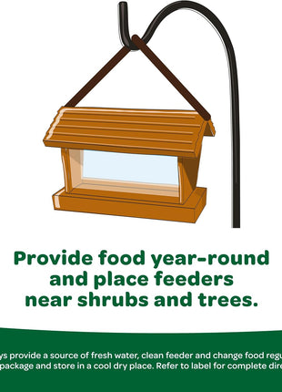 Kaytee Wild Bird Basic Seed, 10 lb