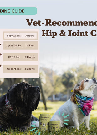 Natural Dog Company Hip & Joint Chews & Wild Alaskan Salmon Oil Bundle – 180 Ct Glucosamine Supplement + 32 oz Omega-3 Fish Oil for Dogs, Mobility, Joint, Skin & Coat Support