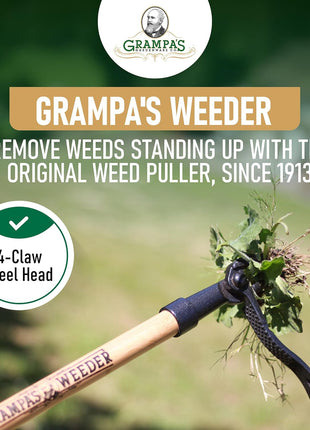 Grampa's Weeder - The Original Stand Up Weed Puller Tool with Long Handle - Made with Real Bamboo & 4-Claw Steel Head Design - Easily Remove Weeds Without Bending, Pulling, or Kneeling.