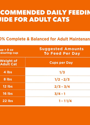 IAMS Proactive Health Dry Cat Food, Healthy Cat Food Dry Recipe for Adults, with Chicken 22 lb. Bag