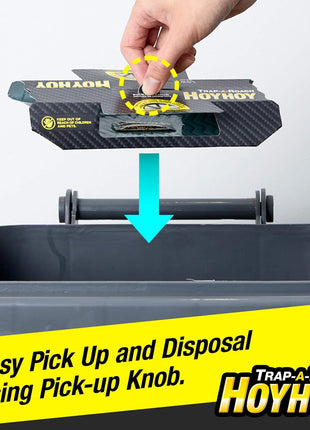 HOY HOY Trap A Roach - 10 Traps [2 Pack] Baited Glue Traps, Great for Home with Kids & Pets Indoor, Sticky Pest Control Trap, Roach Killer, Made in Japan