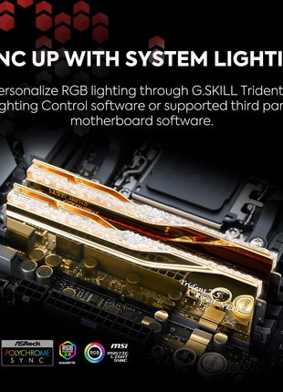 G.SKILL Trident Z5 Royal Neo Series DDR5 RAM (AMD EXPO) 64GB (2x32GB) 6000MT/s CL26-36-36-96 1.45V Desktop Computer Memory U-DIMM - Gold (F5-6000J2636H32GX2-TR5NG)