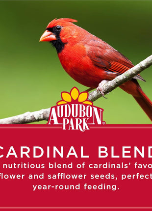 Audubon Park Cardinal Blend Wild Bird Food, Cardinal Bird Seed for Outside Feeders, 4-Pound Bag