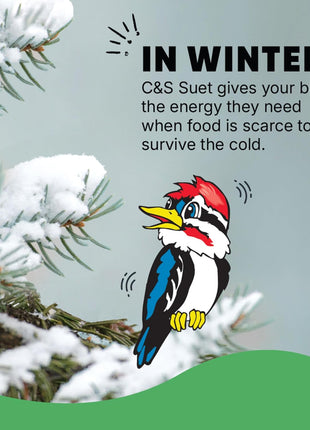 C&S Wild Bird Woodpecker Suet Nuggets Mega Box, 8 Pounds