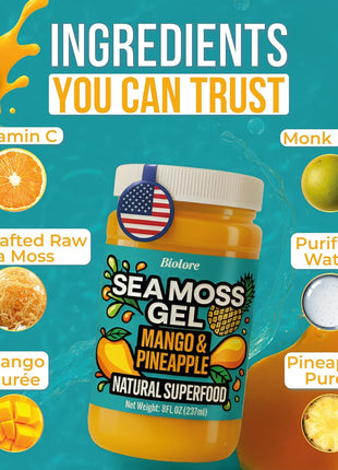 Biolore Sea Moss Gel Mango-Pineapple Made in USA Raw Wildcrafted Irish Seamoss Essential Vitamins Trace Minerals Vegan Superfood, Jam, Jelly & Sweet Spread Gifts (Mango-Pineapple 8OZ)