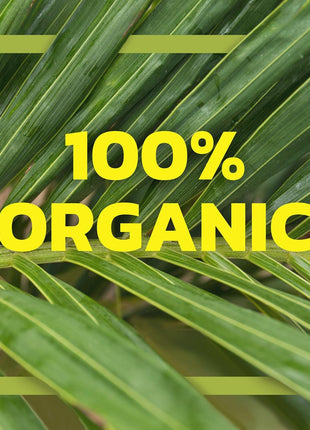 Native Forest Organic Young Jackfruit - Great Meatless Alternative, Plant Based Meat, Ideal Texture, Soy Free, Non-GMO Project Verified, USDA Organic - 6.1 Lb