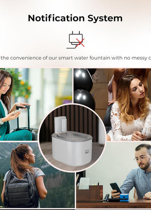 Bundle of Penthouse Paws Smart Pet Care HD Camera Feeder + Wireless Water Fountain + Filter Set for Cat & Dog