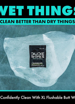 DUDE Wipes - On-The-Go Flushable Wipes - 1 Pack, 30 Wipes - Mint Chill Extra-Large Individually Wrapped Adult Wet Wipes - Eucalyptus & Tea Tree Oil - Septic and Sewer Safe