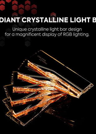G.SKILL Trident Z5 Royal Neo Series DDR5 RAM (AMD EXPO) 32GB (2x16GB) 6400MT/s CL30-39-39-102 1.40V Desktop Computer Memory U-DIMM - Gold (F5-6400J3039G16GX2-TR5NG)