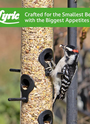 Lyric Fine Tunes Wild Bird Seed Mix - No Waste Bird Food Mix - Attracts Bluebirds, Finches, Chickadees & More - Seed for Outside Feeders - 15 lb Bag