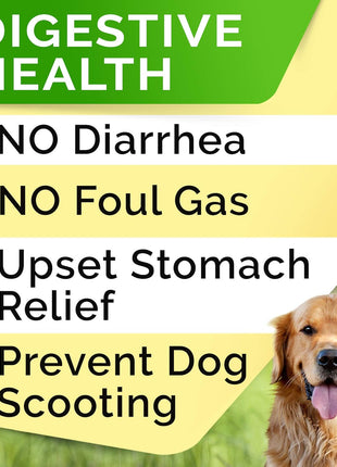 Allergy Relief + Probiotics Dogs Bundle - Itchy Skin Treatment + Digestion & Gut Health - Omega 3 & Pumpkin + Probiotics - Dog Itch Relief + Upset Stomach & Gas Relief - 240 Chews - Made in USA