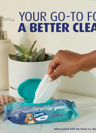 Charmin Flushable Wipes, 160 Total Wipes (4 Packs of 40)