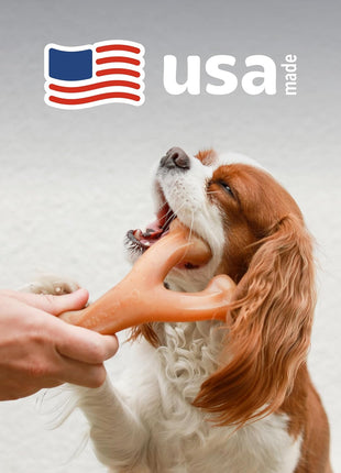 Benebone Wishbone Durable Dog Chew Toy for Aggressive Chewers, Real Bacon, Made in USA, Medium | Durable, Super Chewer, Made in USA, Dog Bones, Long-Lasting, A Size for Every Dog, Keeps Them Busy