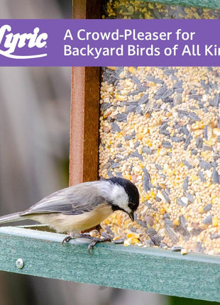 Lyric Wild Bird Mix - Includes Corn, Nuts, and Wild Bird Seed for Outside Feeders, Attracts Doves, Jays and Many More, 40 lb Bag
