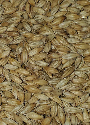 2-Row Brewers Malt for Home Brewing Whole Grain 10lbs