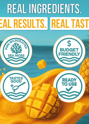 Biolore Sea Moss Gel Mango-Pineapple Made in USA Raw Wildcrafted Irish Seamoss Essential Vitamins Trace Minerals Vegan Superfood, Jam, Jelly & Sweet Spread Gifts (Mango-Pineapple 8OZ)