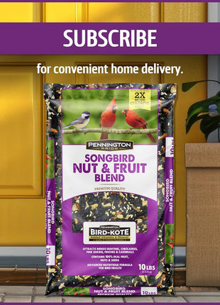 Pennington Pride Songbird Nut & Fruit Blend, Wild Bird Seed for Outside Feeders, Advanced Nutrition Formula for Health, Bird Food, 10-lb. Bag