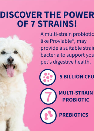Nutramax Laboratories 30 Count Proviable Health Supplement for Cats and Dogs (PROVDC30)