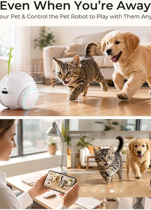 Vivideye Pet Camera 1080P, Movable Robot Security Camera for Dog Cat, Rolling Robot Indoor Camera with Talk,Battery-Operated, Auto-Recharge, Night Vision,SD/Cloud Storage, Pet/Human/Voice Detection