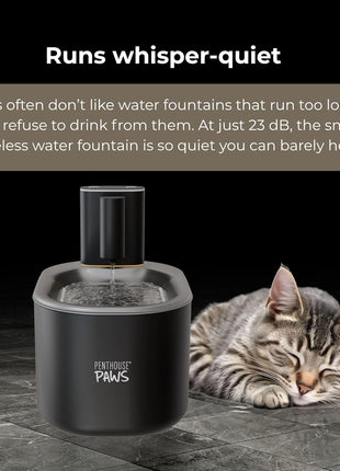 Bundle of Penthouse Paws Smart Pet Care HD Camera Feeder + Wireless Water Fountain + Filter Set for Cat & Dog