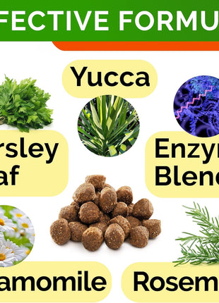 No Poo Treats + Dog Probiotics for Picky Eaters Bundle - No Poop Eating for Dogs + Chewable Fiber Supplement - Digestive Enzymes + Prebiotics - Coprophagia Stool Eating Deterrent + Improve Immunity