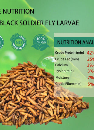 Dried Black Soldier Fly Larvae 10LB-Pure Natural Non-GMO BSF Larvae for Chickens-More Calcium Than Mealworms High-Protein Chickens Treats for Layer Hens Wild Birds Ducks