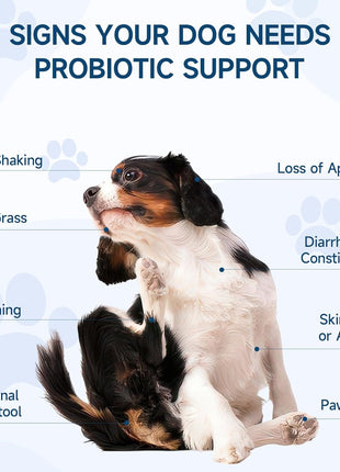 Dual-Action Dog Probiotics & Hip/Joint Supplement - 200 Soft Chews with Glucosamine, Chondroitin, MSM, Probiotics for Digestion, Immune & Joint Health, Gas Relief, Chicken Flavor (All Ages/Breeds)