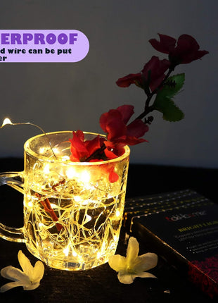 6 Pack Fairy Lights Battery Operated with Timer 2PCS Remote - 6.5ft 20LED Warm White Twinkle Lights Waterproof Silver Wire Fireflies Lights DIY Mason Jar Wedding Party Christmas Centerpiece Table Deco