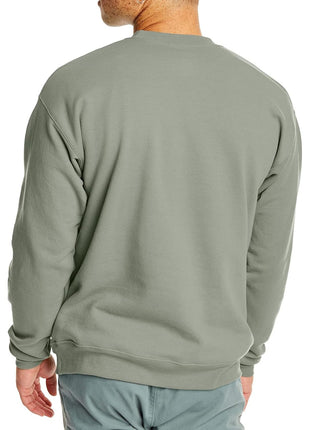 Hanes Mens Ecosmart Fleece Sweatshirt, Cotton-blend Pullover, Crewneck For Men, 1 Or 2 Pack, Stonewashed Green - 1 Pack, Large US